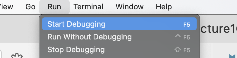 Running the debugger